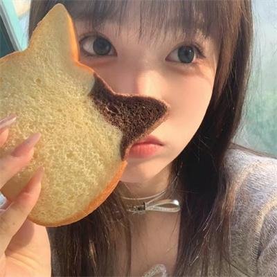 家庭档案